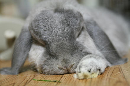 暑いで～