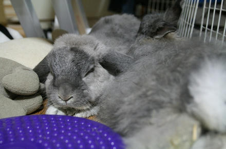 ラブラブ～２