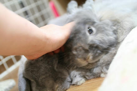 みんな
