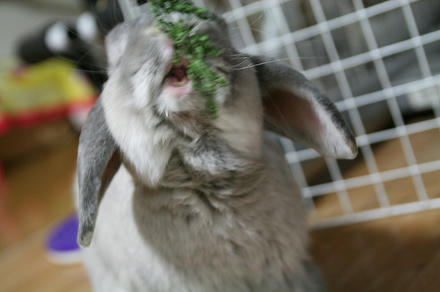 あ～ん