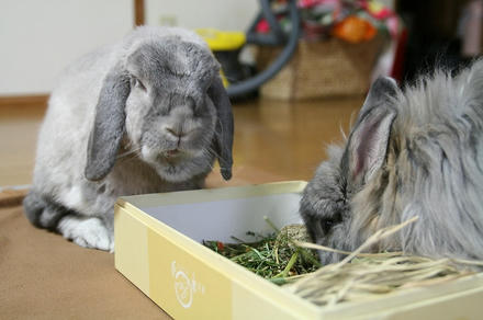 時間かかるな