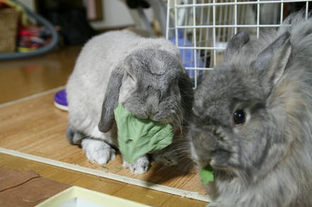 まだあるから