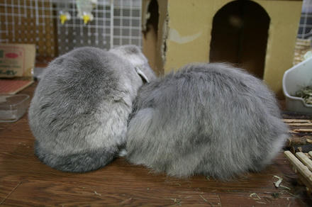 こうやって
