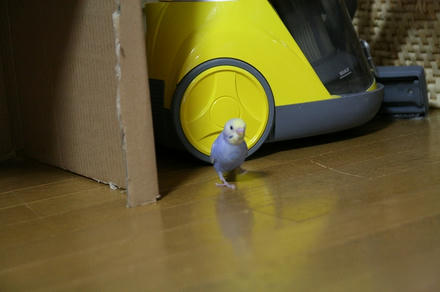 コワいでぴ～！！