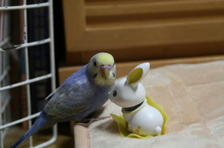 もっちぃは
