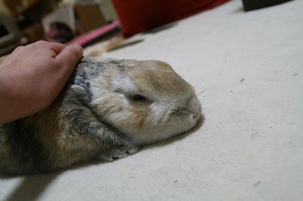 こんなに