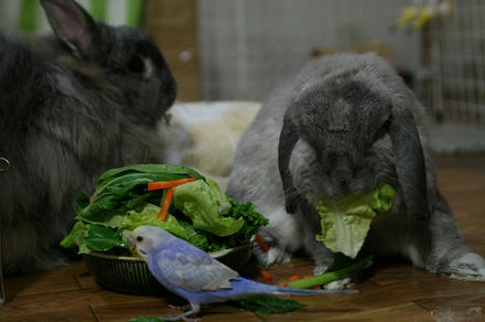 もっちぃ