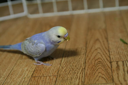 悪いコト