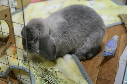 もっちぃ