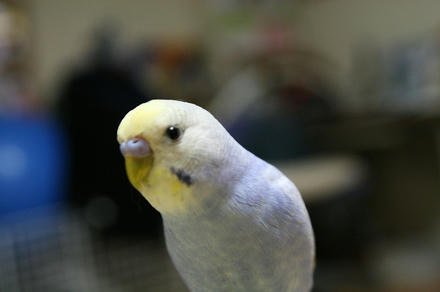 お尻が！