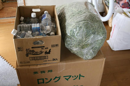 牧草とお水