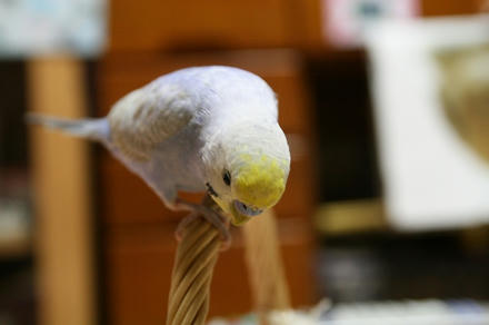 ラブラブすぎて