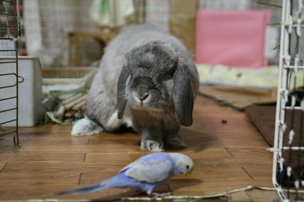 あるんかな。
