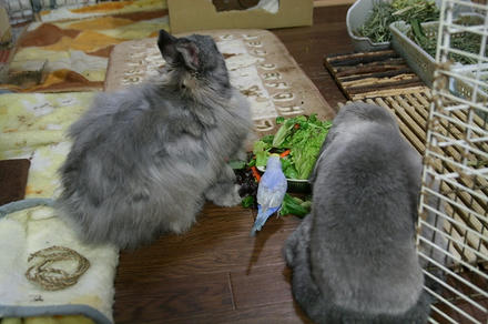 みんなで