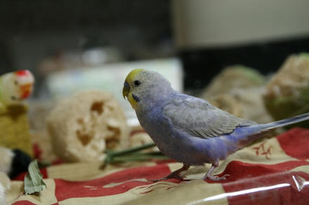 ここは