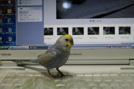 もっちぃな