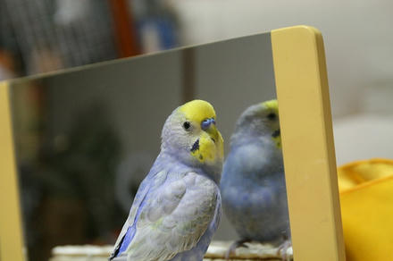 しらないヒトが