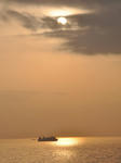 DSC_0712.JPG