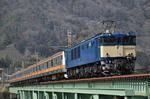 CSC_0765.JPG