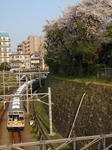 DSC00896.JPG