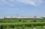 DSC_0432.JPG