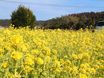 DSCF2562.JPG
