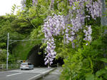DSCN0904.JPG