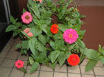 DSCF2983.JPG