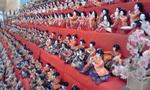 100215_1021~02.jpg