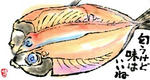 img162.jpg