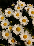 20110329104808.jpg