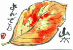500x500-49152.jpg