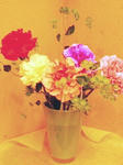20120518173529.jpg