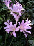 20120816095927.jpg