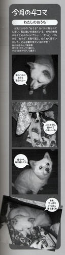 愛犬チャンプ4月号「りーぱら」