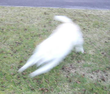 94