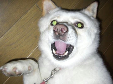 37