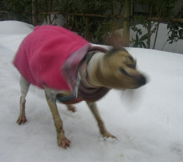 37