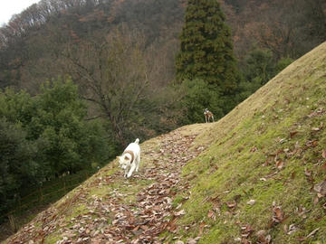 饅頭山