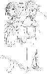 ayanana.gif