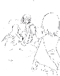 unsinwa.gif