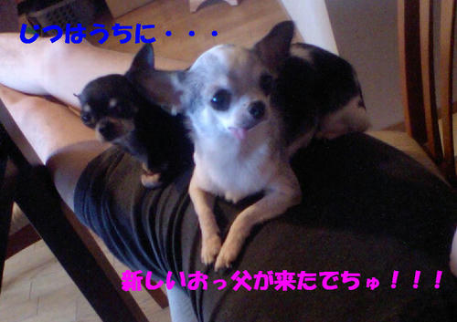 07062801.JPG