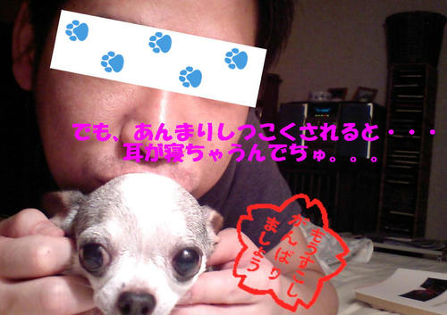 07062804.JPG