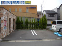 CIMG1568.JPG