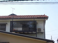 CIMG5009.JPG