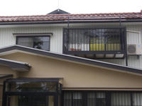 CIMG5051.JPG