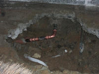 CIMG1187.JPG