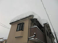 CIMG2579.JPG