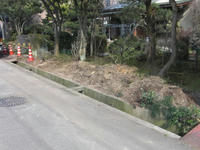 CIMG2825.JPG