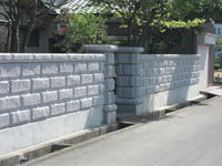 CIMG3076.JPG
